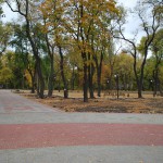 Парк Живых и Мертвых в Воронеже фото