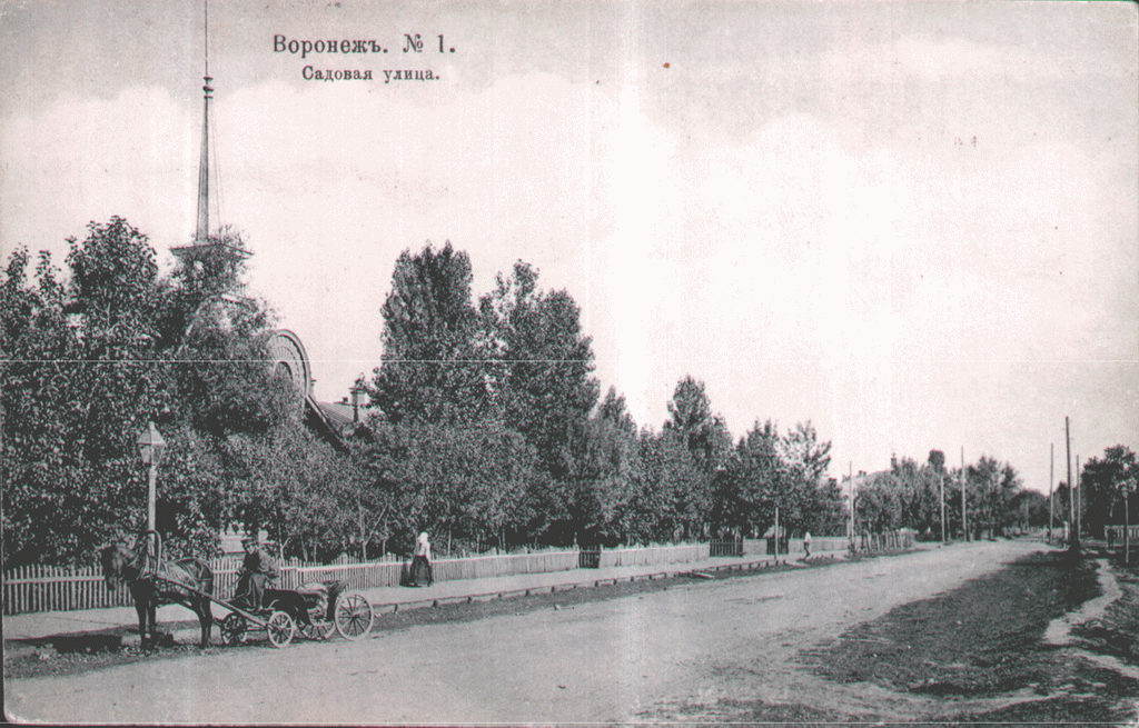 Садовая улица в Воронеже старое фото
