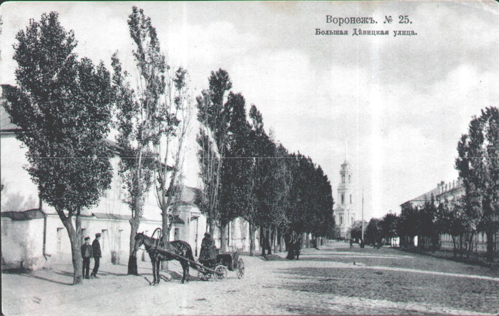 Большая Девицкая улица в Воронеже старое фото