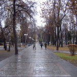 Кольцовский сквер до реконструкции в Воронеже фото