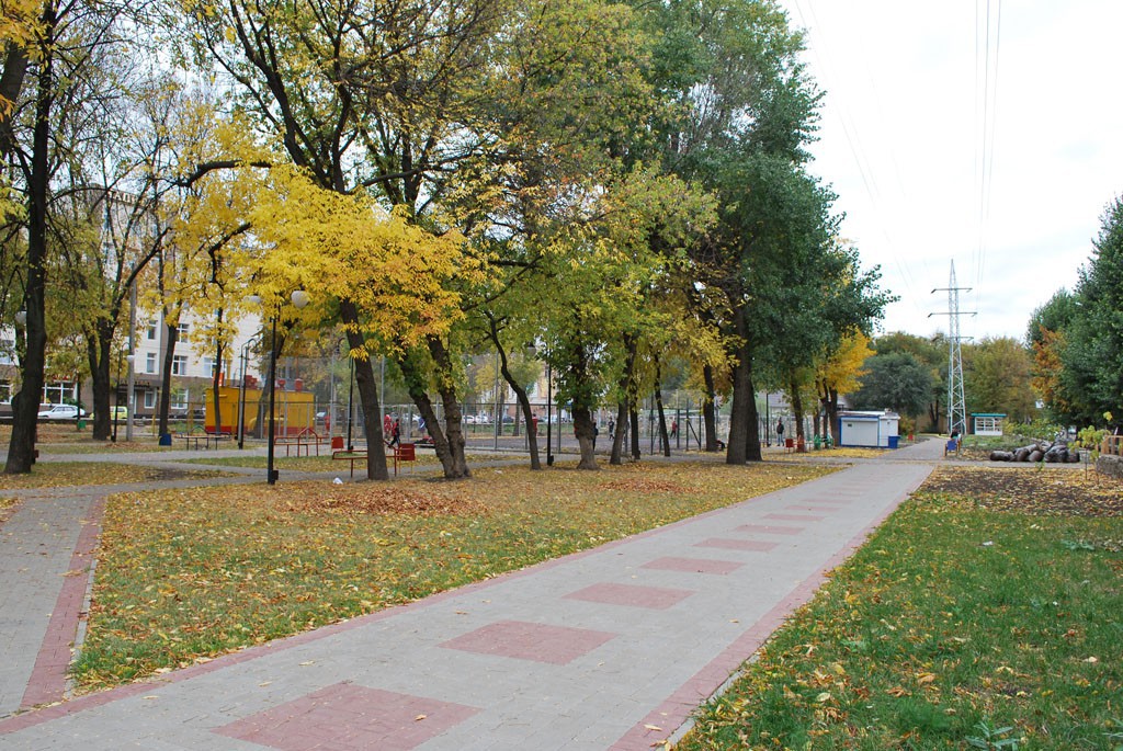 Комсомольский сквер вид на футбольную площадку в Воронеже фото