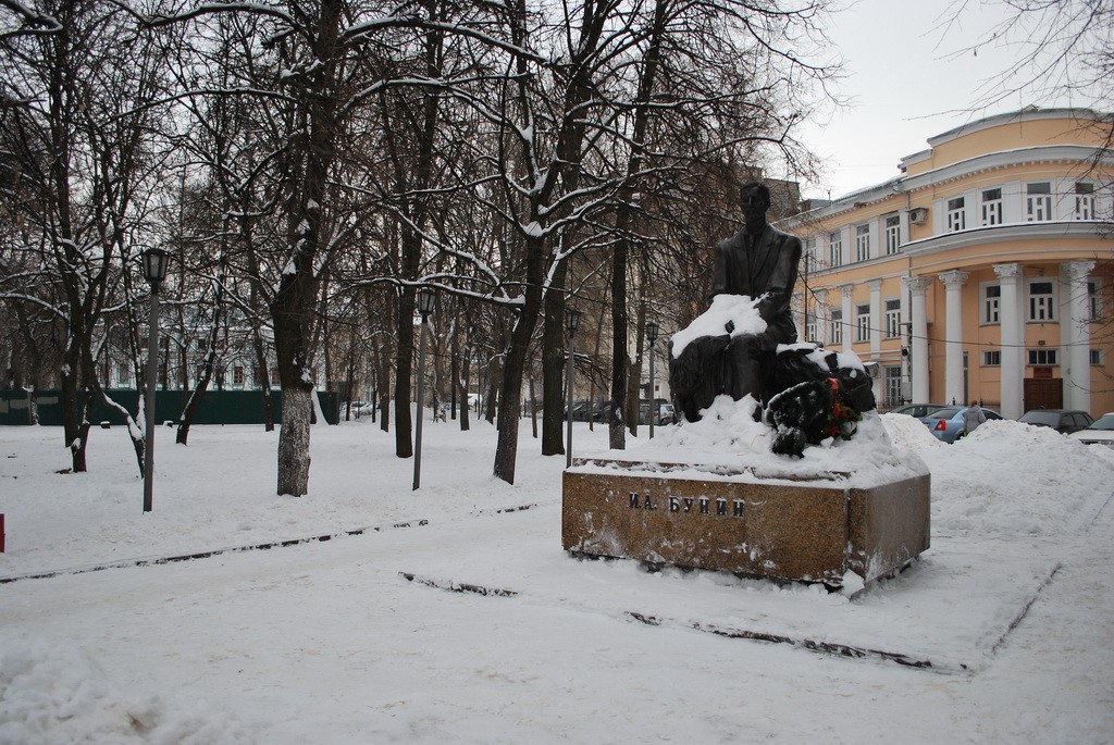 Памятник Бунину в Воронеже фото