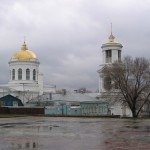 Покровский кафедральный собор в Воронеже фото